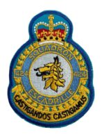 Canadian Forces RCAF 424 Squadron Heraldic Colour Crest Patch Vintage Canadian Forces RCAF 424 Squadron Heraldic Colour Crest Patch Vintage