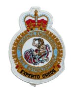 Canadian Forces RCAF AETE Experimental Heraldic Crest Patch Colour Vintage