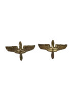 WW2 US USAAF DUI Distinctive Uniform Insignia Collars Pair