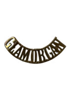 WW1 British BEF Glamorgan Shoulder Title Insignia Single