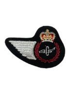 Canadian Forces RCAF Aircraft Structures Technician Wing NEW PATTERN Canadian Forces RCAF Aircraft Structures Technician Wing NEW PATTERN