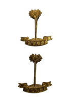 WW2 British Royal West African Frontier Force Officer's Collars Insignia Pair