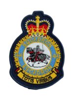 Canadian Forces RCAF 414 Squadron Heraldic Crest Patch Colour Vintage