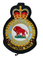 Canadian Forces RCAF 429 Squadron Heraldic Colour Crest Patch Vintage Canadian Forces RCAF 429 Squadron Heraldic Colour Crest Patch Vintage