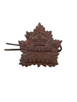 WW1 Canadian CEF 2nd Canadian Mounted Rifles British Columbia Hussars Cap Badge WW1 Canadian CEF 2nd Canadian Mounted Rifles British Columbia Hussars Cap Badge