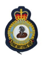 Canadian Forces RCAF 444 Squadron Heraldic Crest Patch Colour Vintage