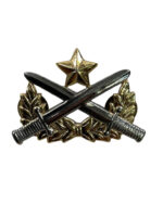 Republic of Vietnam ARVN Army Ranger Qualification Badge