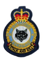 Canadian Forces RCAF 441 Squadron Heraldic Colour Crest Vintage Canadian Forces RCAF 441 Squadron Heraldic Colour Crest Vintage