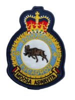 Canadian Forces RCAF 419 Squadron Heraldic Crest Patch Colour Vintage Canadian Forces RCAF 419 Squadron Heraldic Crest Patch Colour Vintage