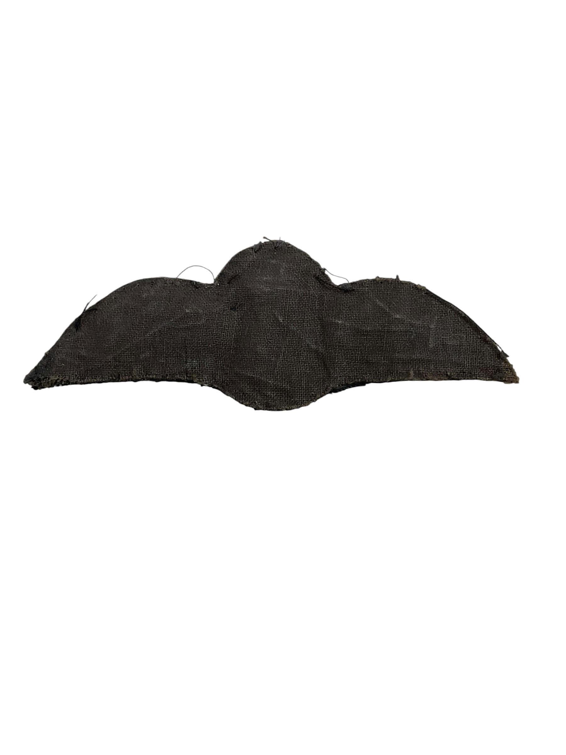 WW2 Canadian RCAF Padded Pilots Wings WW2 Canadian RCAF Padded Pilots Wings