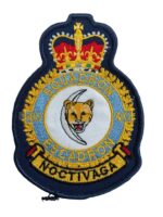 Canadian Forces RCAF 410 Squadron Heraldic Colour Crest Vintage Canadian Forces RCAF 410 Squadron Heraldic Colour Crest Vintage