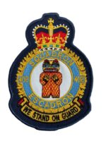 Canadian Forces RCAF 402 Squadron Heraldic Colour Crest Patch Vintage Canadian Forces RCAF 402 Squadron Heraldic Colour Crest Patch Vintage