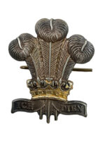 WW1 British BEF Royal Regiment of Wales Welsh Cap Badge