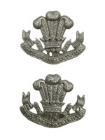 WW1 British BEF The Welsh Regiment Collars Insignia Pair
