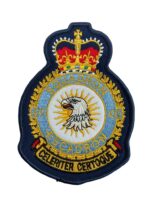 Canadian Forces RCAF 430 Heraldic Colour Crest Patch Vintage Canadian Forces RCAF 430 Heraldic Colour Crest Patch Vintage