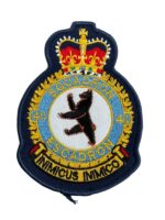 Canadian Forces RCAF 411 Squadron Heraldic Crest Patch Colour Vintage Canadian Forces RCAF 411 Squadron Heraldic Crest Patch Colour Vintage