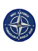 Canadian Forces RCN Navy NRU Asterix NATO Deployment Patch