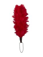 Canadian Forces Black Watch Red Hackle