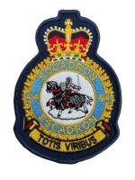 Canadian Forces RCAF 414 Squadron Heraldic Crest Patch Colour Vintage