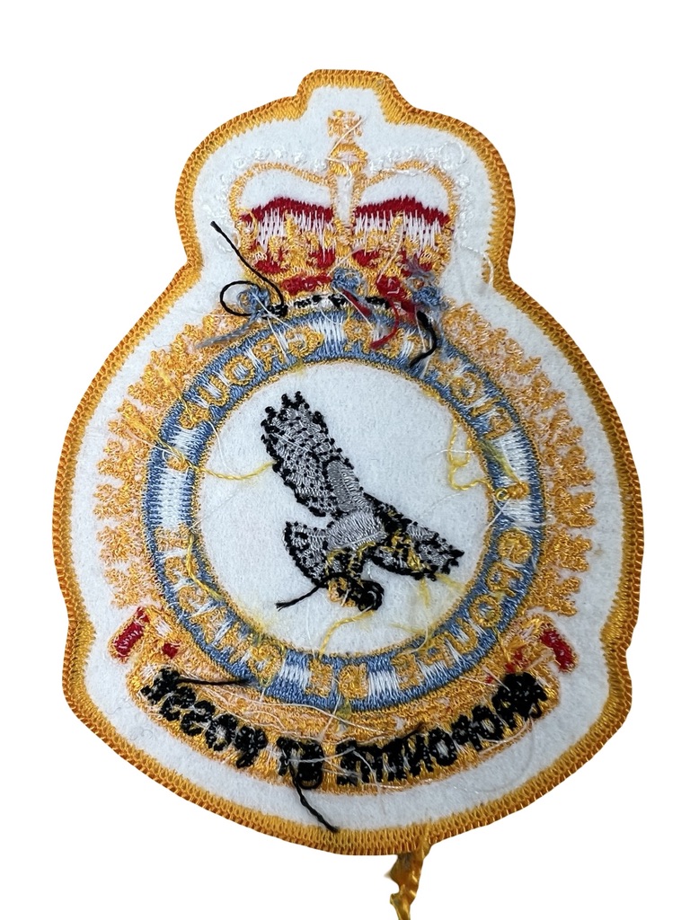 Canadian Forces RCAF Fighter Group Squadron Crest Patch Vintage Canadian Forces RCAF Fighter Group Squadron Crest Patch Vintage