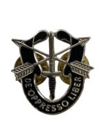 US Army DUI Distinctive Uniform Insignia Special Forces Badge Pin