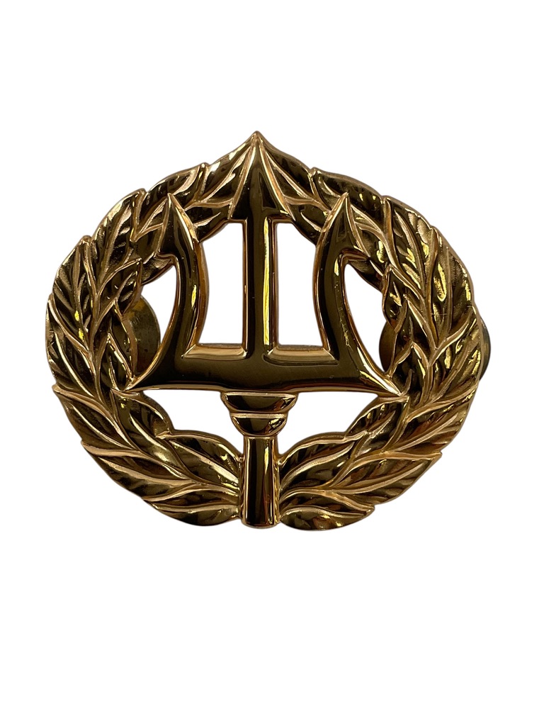US USN Navy Coast Guard Command Ashore Pocket Badge US USN Navy Coast Guard Command Ashore Pocket Badge