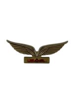 US Air Airlines Junior Pilots Wings Plastic
