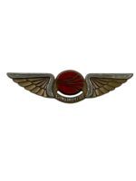 US Continental Airlines Junior Pilots Wings Plastic