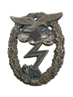 WW2 German Luftwaffe Ground Assault Badge WW2 German Luftwaffe Ground Assault Badge